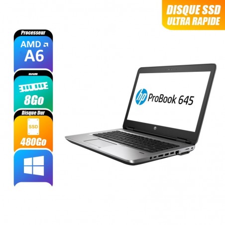 Ordinateurs Portables HP PROBOOK 645 G3 reconditionne