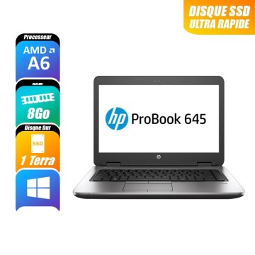 Ordinateurs Portables HP PROBOOK 645 G3 reconditionne