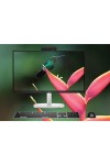 All in one HP EliteStudio 8 All-in-One G1i Intel Core Ultra 5 235 16GoDDR5 512 G