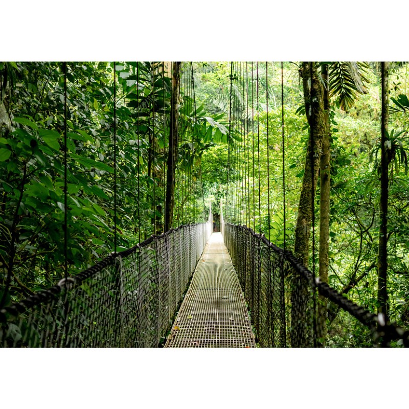 Portable HP EliteBook 6 Intel Core Ultra U5-225U 32Go 1ToSSD Intel Graphics 12 T